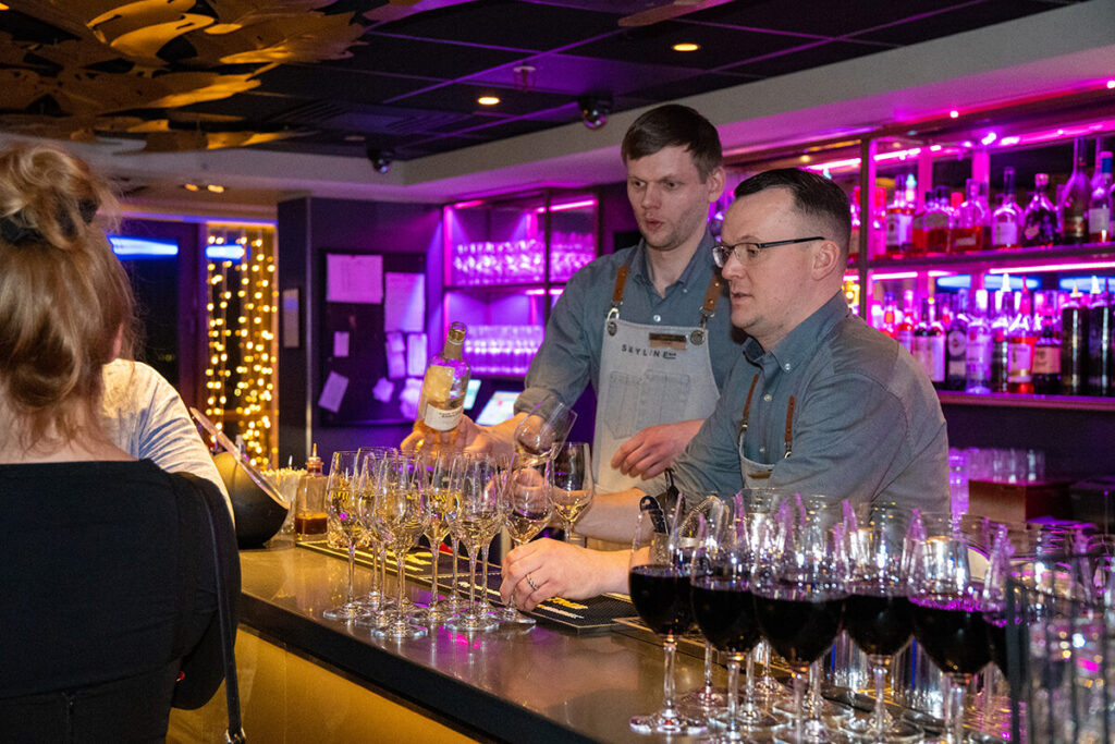 SkyLine Bar Party